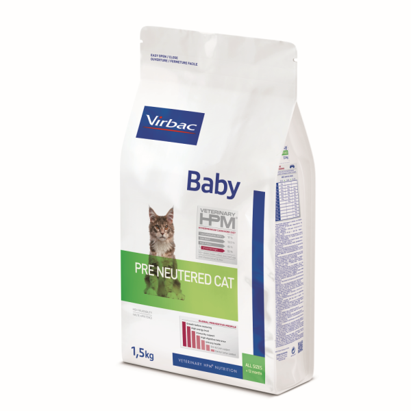 BABY PRENEUTERED CAT