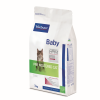 BABY PRENEUTERED CAT - Image 3