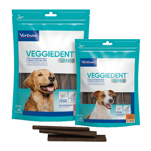 VEGGIEDENT FR3SH